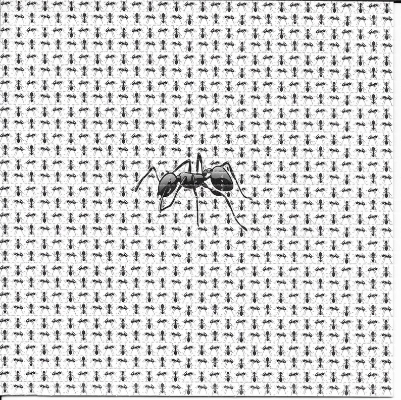 개미 동물 환각 LSD 산성 무료 블로터 아트 프린트  - Ink Blotter Paper 리뷰 및 가격